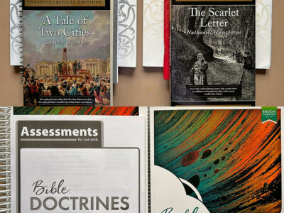 10th Grade Homeschool Curriculum Choices 2024 2025
