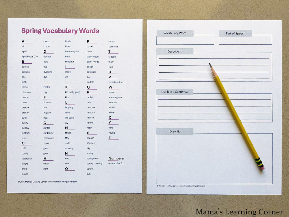 Spring Vocabulary Word List with Definition Worksheet