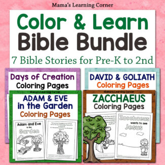 Color and Learn Bible Bundle 2025