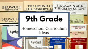 9th Grade Homeschool Curriculum Ideas