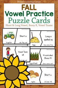 Fall Vowel Activities Puzzle Cards and Worksheets