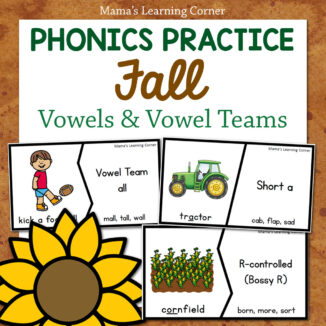 Fall Vowel Activties Puzzle Cards and Worksheets
