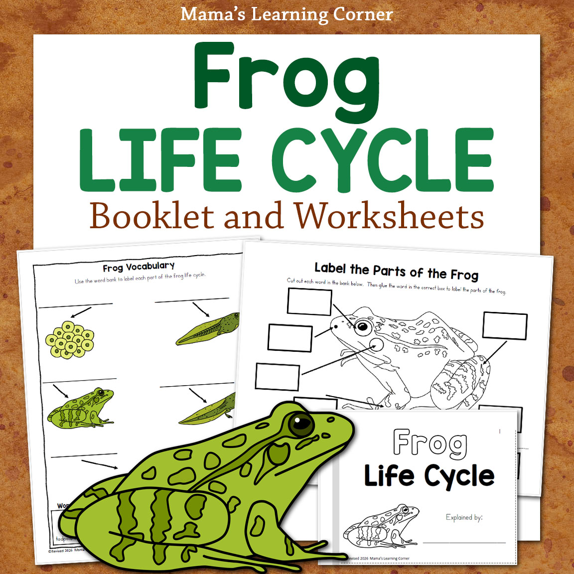 Frog Life Cycle Worksheets and Booklet
