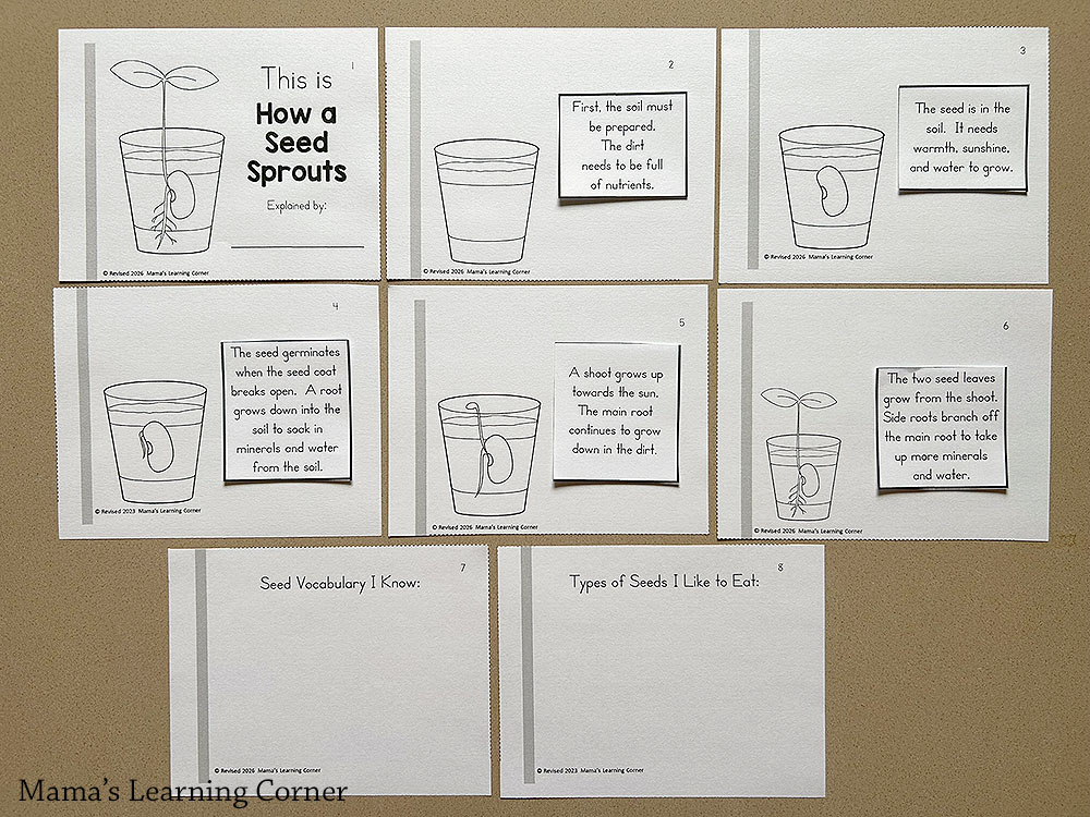 Seed Writing Worksheets