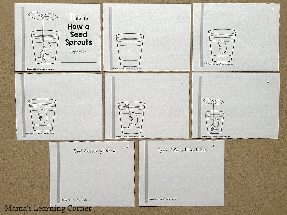 Seed Growth Booklet Printable Pages - Mamas Learning Corner Seed Growth Booklet Printable Pages