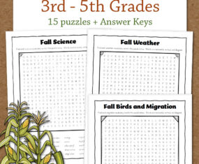 Fall Word Search Packet 3rd to 5th Grade - Mamas Learning Corner Fall Word Search Packet for 3rd–5th grades with 15 puzzles and answer keys; cover features pumpkins and corn stalks in a fall theme.