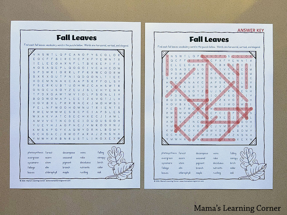 Fall Word Searches 3rd to 5th Grade Fall Leaves - Mamas Learning Corner fall word search packet with answer keys